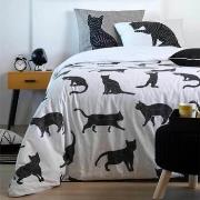 Parures de lit Stof Parure de lit chats noirs 220 x 240 cm