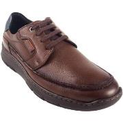 Chaussures Baerchi Chaussure homme 6130 marron