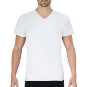 T-shirt Eminence Tee-shirt col V Pur coton Premium