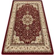 Tapis Rugsx Tapis ROYAL AGY modèle 0521 bordeaux 300x400 cm