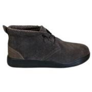 Boots Dude CHAUSSURES JO SUEDE