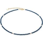 Collier Coeur De Lion Collier Little Twinkle doré-bleu foncé