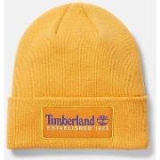 Chapeau Timberland TB0A2PTD ESTABLISHED 1973-804 ORANGE