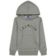 Sweat-shirt Champion Sweat à capuche