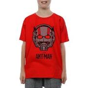 T-shirt enfant Ant-Man BI519