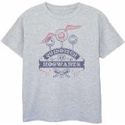 T-shirt enfant Harry Potter BI1175