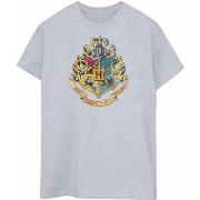 T-shirt Harry Potter BI1189