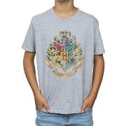 T-shirt enfant Harry Potter BI1259