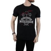 T-shirt Harry Potter Quidditch At Hogwarts