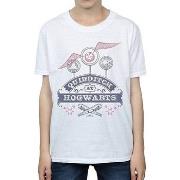 T-shirt enfant Harry Potter BI1422