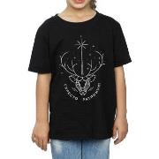 T-shirt enfant Harry Potter Expecto Patronum