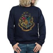 Sweat-shirt Harry Potter BI1135