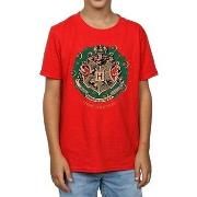 T-shirt enfant Harry Potter BI1681