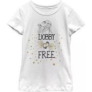 T-shirt enfant Harry Potter Dobby Is Free