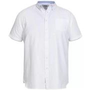 Chemise Duke D555 James