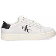 Baskets Calvin Klein Jeans 70602