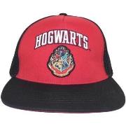 Casquette Harry Potter College