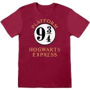 T-shirt Harry Potter HE226