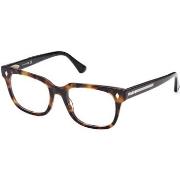 Lunettes de soleil Web WE5397 Cadres Optiques, Havana, 52 mm