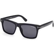 Lunettes de soleil Tom Ford FT0906-N Buckley-02 Lunettes de soleil, No...