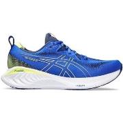 Chaussures Asics -