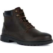 Boots Geox andalo booties coffee