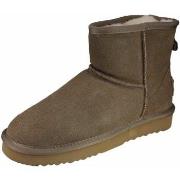 Bottes Oog -