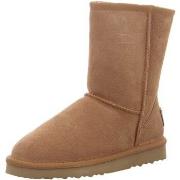 Bottes Oog -