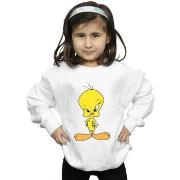 Sweat-shirt enfant Dessins Animés BI1900