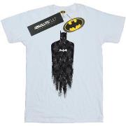 T-shirt Dc Comics Batman Brushed