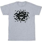 T-shirt Dc Comics Batman Bat Swirl