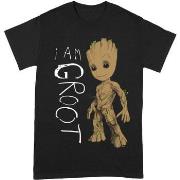 T-shirt Guardians Of The Galaxy BI238