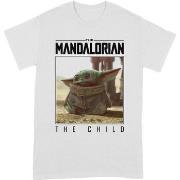 T-shirt Star Wars: The Mandalorian BI280