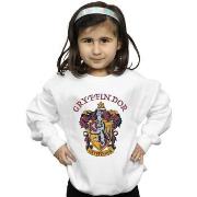 Sweat-shirt enfant Harry Potter BI797