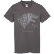 T-shirt Game Of Thrones Winter Is Coming