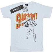 T-shirt enfant Dc Comics BI16325