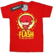 T-shirt enfant Dc Comics My Hero Since Forever