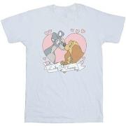 T-shirt Disney Lady And The Tramp