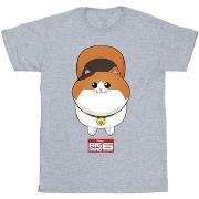 T-shirt Disney Big Hero 6