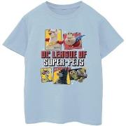 T-shirt enfant Dc Comics DC League Of Super-Pets Profile