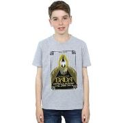 T-shirt enfant Fantastic Beasts BI17355