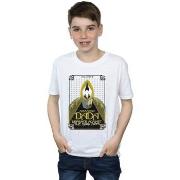 T-shirt enfant Fantastic Beasts Advanced DADA