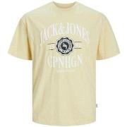 T-shirt Jack &amp; Jones 12251899 JORLUCCA