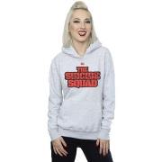 Sweat-shirt Dc Comics The Suicide Squad