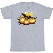 T-shirt enfant Dc Comics Batman Pumpkins