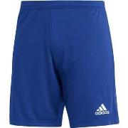 Pantalon adidas ENT22 SHORT AZ