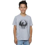 T-shirt enfant Fantastic Beasts BI17435