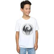 T-shirt enfant Fantastic Beasts Distressed Magical Congress