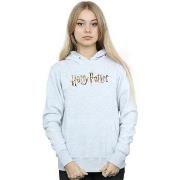 Sweat-shirt Harry Potter Full Colour Logo