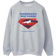 Sweat-shirt Dc Comics BI16423